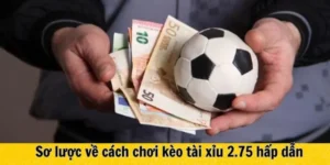 Cách Chơi Kèo 2.75 Chi Tiết Giúp Nâng Cao Tỷ Lệ Thắng Cược Bóng Đá