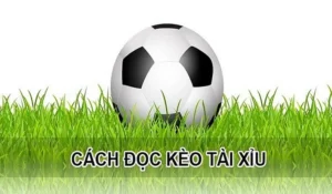 Cách Chơi Kèo Tài Xỉu Hiệu Quả Và Bí Quyết Soi Kèo Chuẩn Xác Cho Người Mới