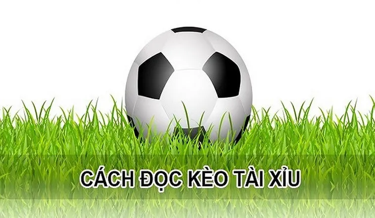 Cách Chơi Kèo Tài Xỉu Hiệu Quả Và Bí Quyết Soi Kèo Chuẩn Xác Cho Người Mới