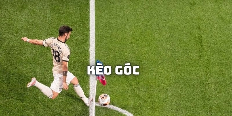 Hướng Dẫn Chi Tiết Cách Chơi Kèo Phạt Góc Bóng Đá Chuẩn Xác Và Dễ Hiểu
