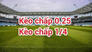 Cách Chơi Kèo Chấp 0.25 Chi Tiết Nhất Cho Dân Cá Cược Hiện Nay