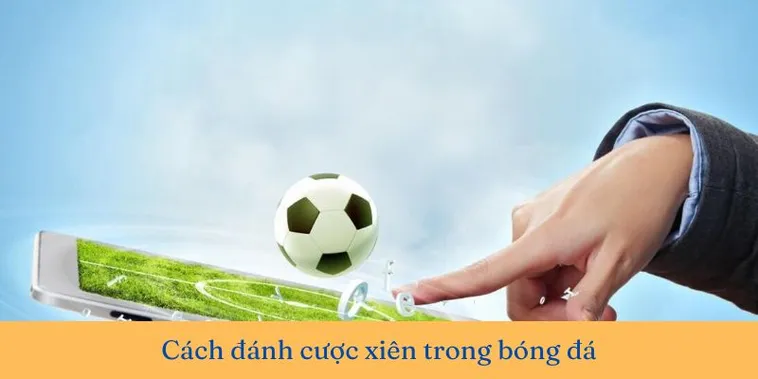 Cách Chơi Kèo Xiên Trong Bóng Đá Chi Tiết Chiến Thuật Tăng Tỷ Lệ Thắng Cao